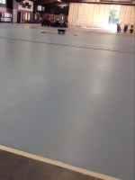 Qaurtz epoxy system